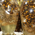 노봉방주 담그는법 가격 효능 숙성기간 장수말벌주 말벌술 담금 7