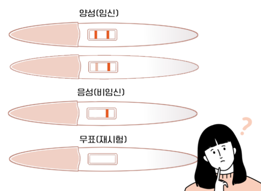 임신테스트기 사용시기 정확도 높이는법 테스트기 사용법 결과해석 4