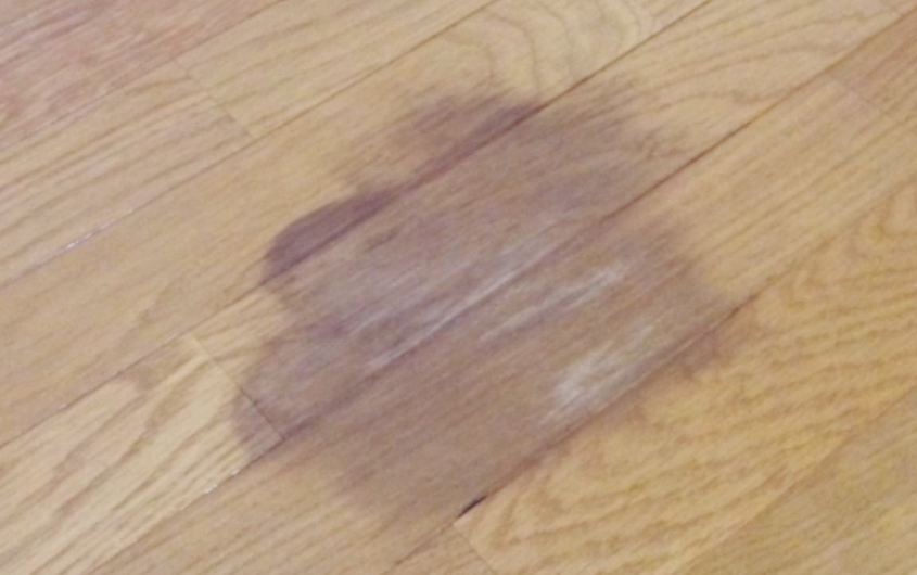 염색약 지우는법 피부 옷 장판 바닥 얼굴 염색약 제거방법 착색 예방 3