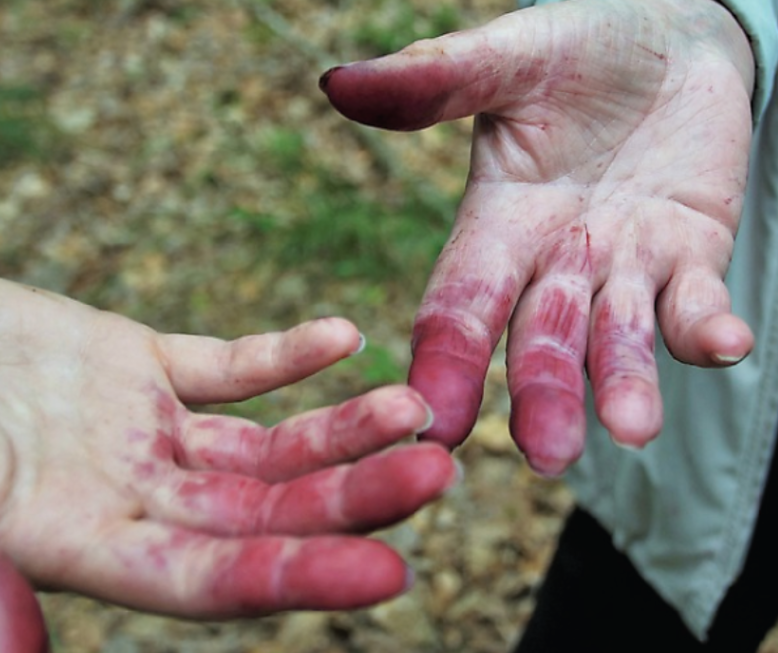 염색약 지우는법 피부 옷 장판 바닥 얼굴 염색약 제거방법 착색 예방 4