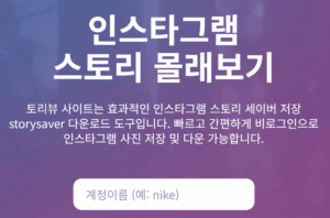 토리뷰 사용법 인스타그램 몰래보기 염탐사이트 비공개 열람하는법 7