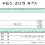 임대차계약서 사본 발급 계약서 분실 시 대처방법 임대차정보제공요청서 7