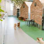 강아지 호텔 가격 비용 반려견 호텔 선택 시 고려사항 6