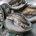 전복 손질법 손질하는법 보관방법 전복요리 전복회 요리방법 5