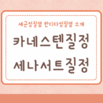 카네스텐질정 세나서트질정 추천 세균성질염 칸디다성질염 소개 3