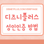 DISNEYPLUS.COM/VERIFYAGE 디즈니플러스 성인인증 연령인증 방법 7