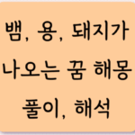 뱀 용 돼지가 나오는 꿈 해몽 풀이 해석 7