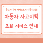 자동차 사고이력 조회 서비스 안내 중고차 구매 카히스토리 자동차365 3